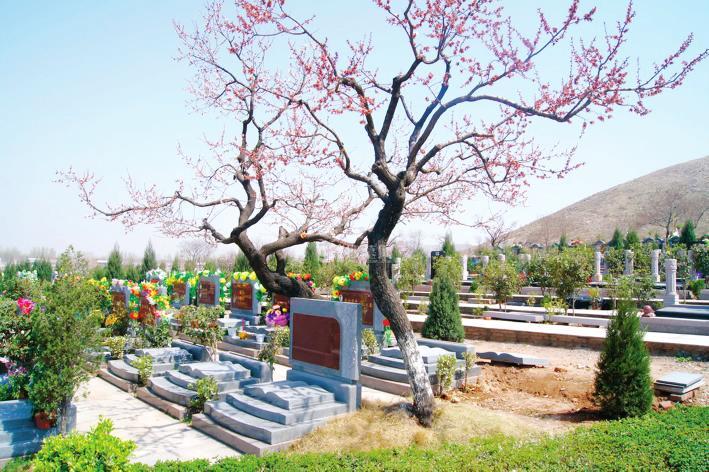 安徽徐里元宝山生态陵园