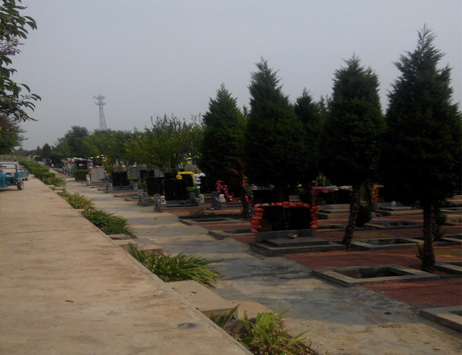 40万元起参考价陵园地址:河南省卫辉市城郊乡唐查看地图河南新乡卫辉