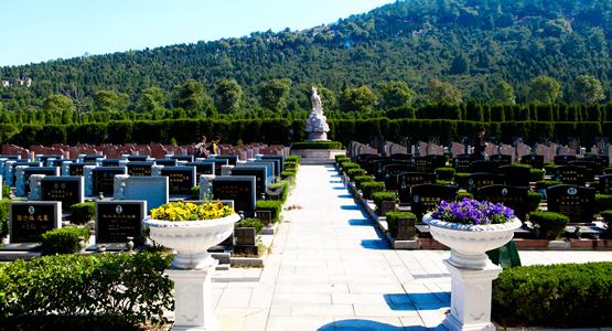 墓地排名_风水墓地(3)