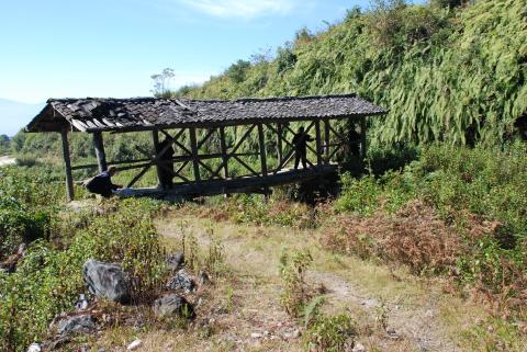 荔枝古道新发现:唐代文物古迹首现路边