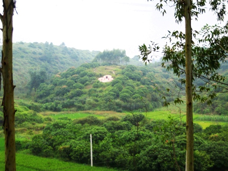 打折时代、临沂福寿陵园供应低位置好的墓地、