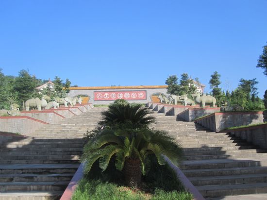 2015年四川省绵阳中考每个批次志愿怎么填-四