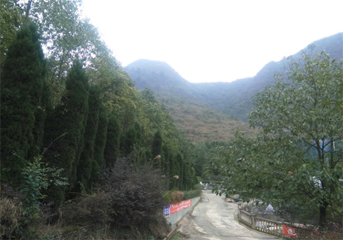 贵州遵义双狮山艺术陵园