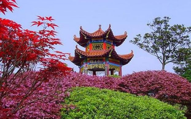 迁坟基本常识