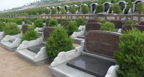 陵园风景图-9