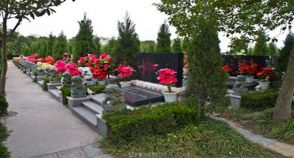 陵园风景图-1