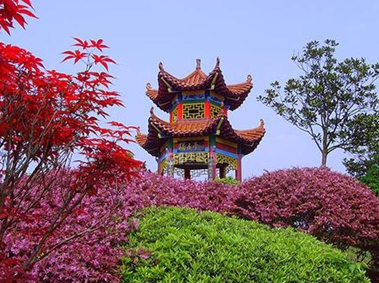 迁坟